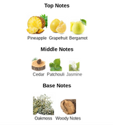 Tropical Wood - Impression of Nishane Hacivat